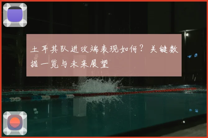 土耳其队进攻端表现如何？关键数据一览与未来展望