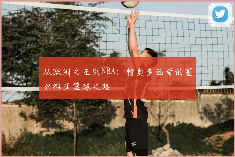 从欧洲之王到NBA：特奥多西奇的塞尔维亚篮球之路