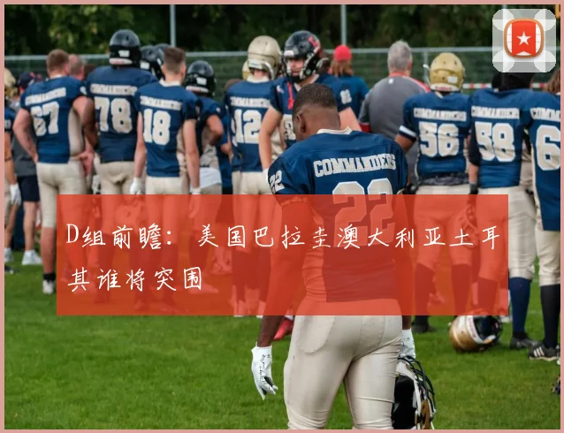 D组前瞻:美国巴拉圭澳大利亚土耳其谁将突围